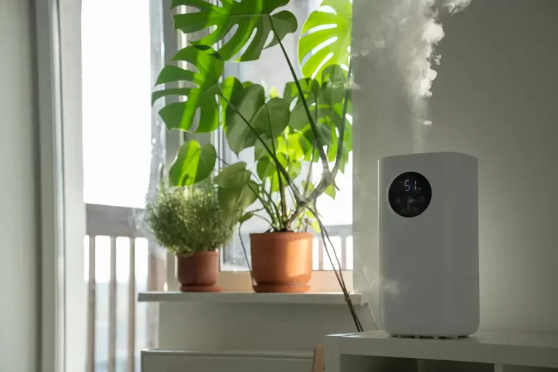 Modern Humidifier at Home